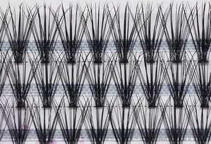 NATURAL LASH CLUSTERS